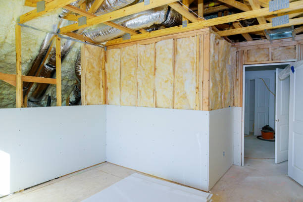 Best Residential Insulation in Palmer, AK