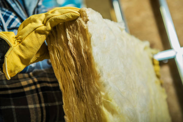 Best Geographic-Specific Insulation Services in Palmer, AK